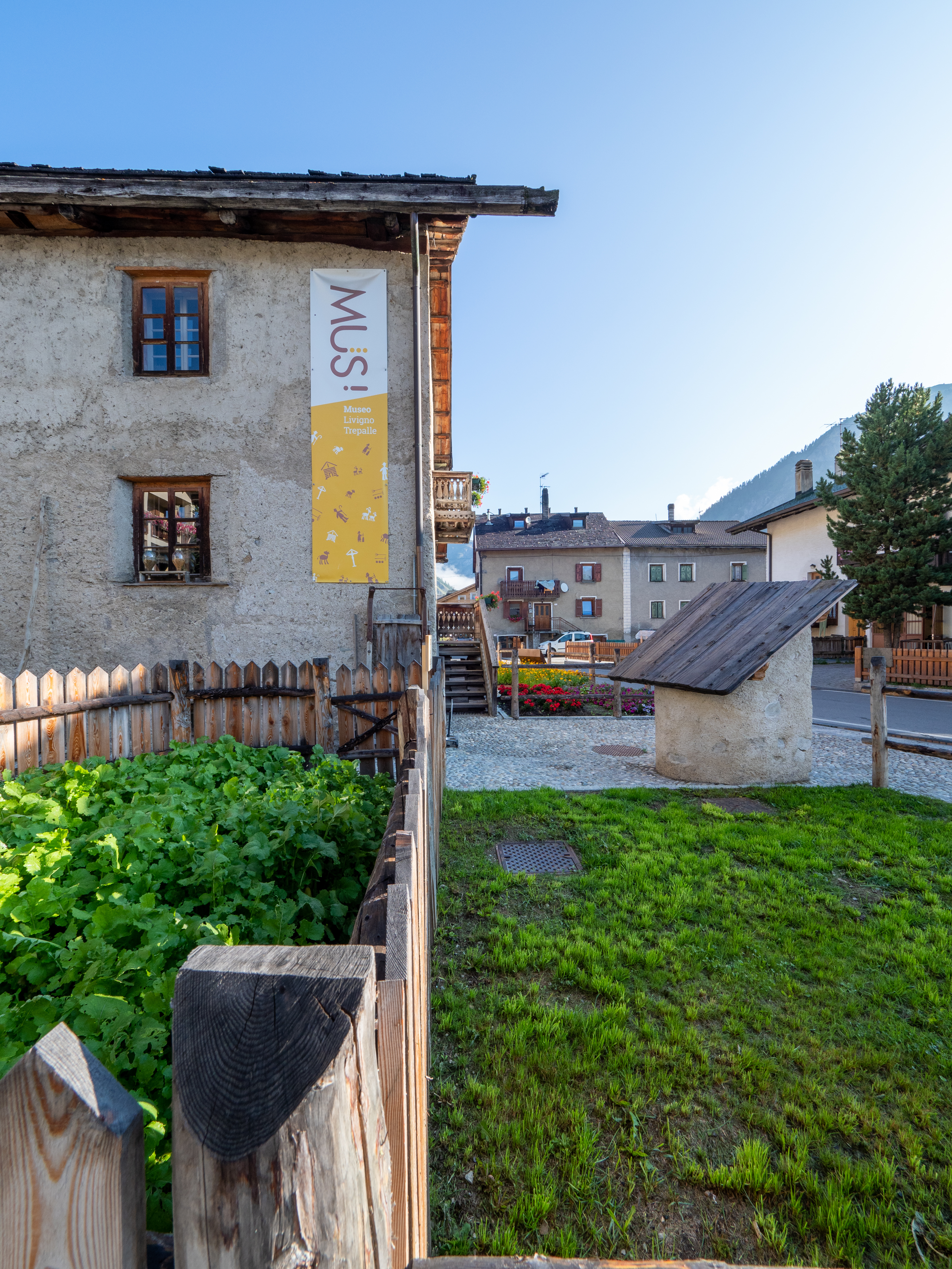 Dall’orto alla soffitta: storia di una rapa